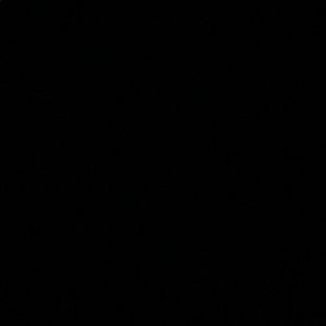 Meet your Posher, Kylee